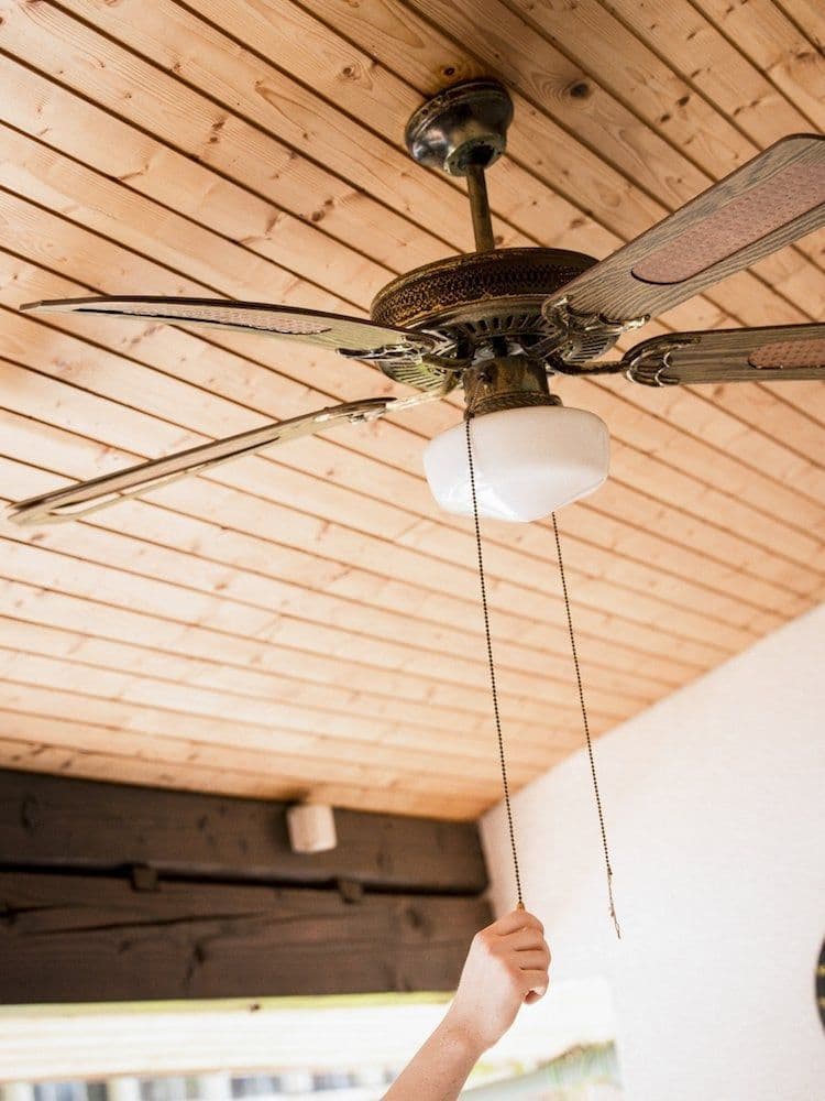 Ceiling fan with pull chain being adjusted to reverse blade direction for winter heating circulation.